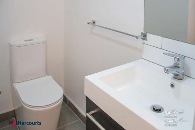 315 Dominion Road Mt Eden_3