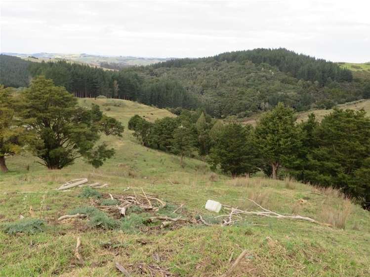 565 Bickerstaffe Road Maungaturoto_5