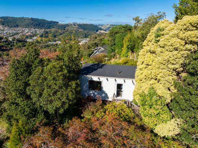 Sunny One Bedroom Apartment/Unit