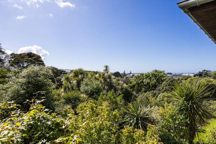 7 Montecillo Lane Mornington_42