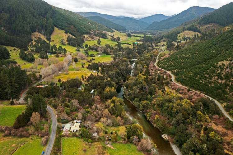 420 Wakamarina Road Canvastown_19