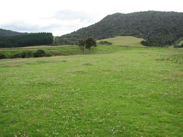 424 Dewe Road Catlins Surrounds_2