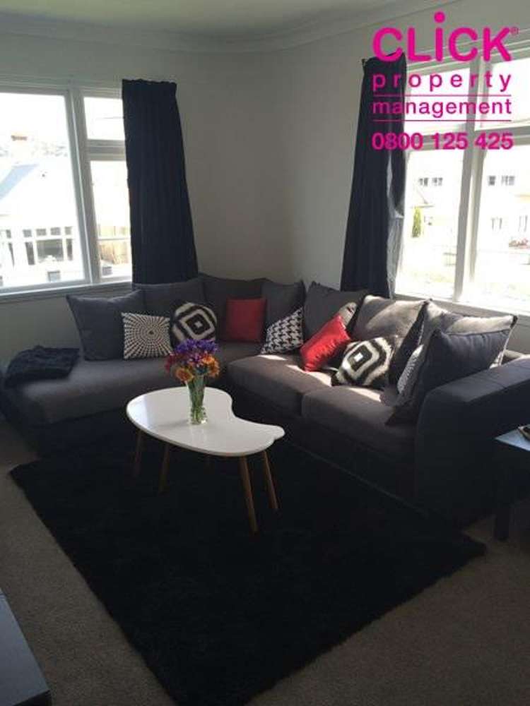 Otago Street Picton_5