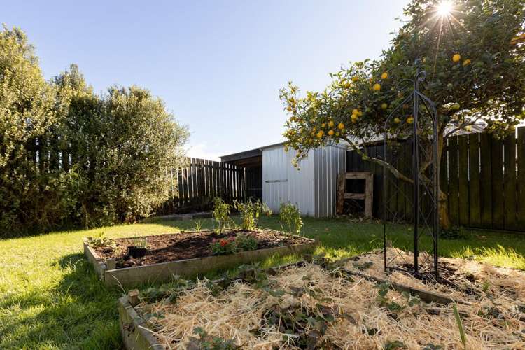 51 Puriri Crescent Edgecumbe_15