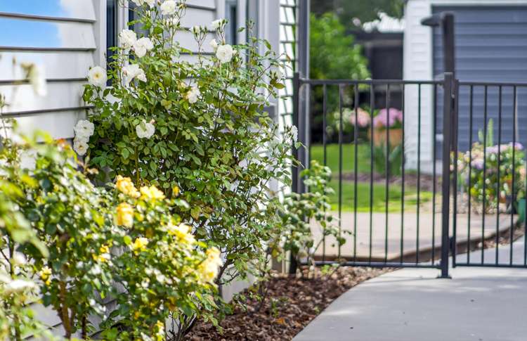 113 Rossall Street Merivale_36