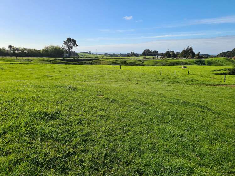 801 Mangorei Road Mangorei_22