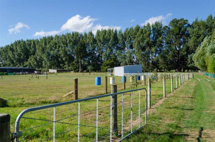 181e Willow Park Drive Opaki_11