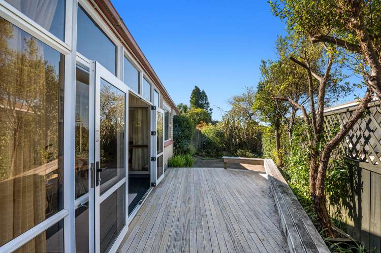 5a Raniera Place Springfield_13