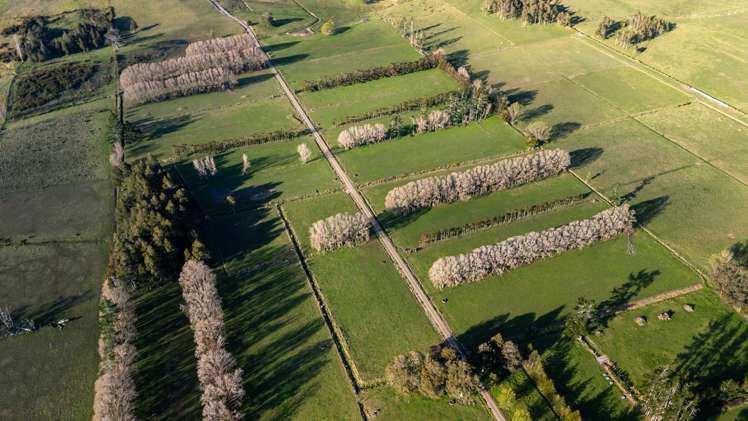 6986B State Highway 1 Kaitaia_20