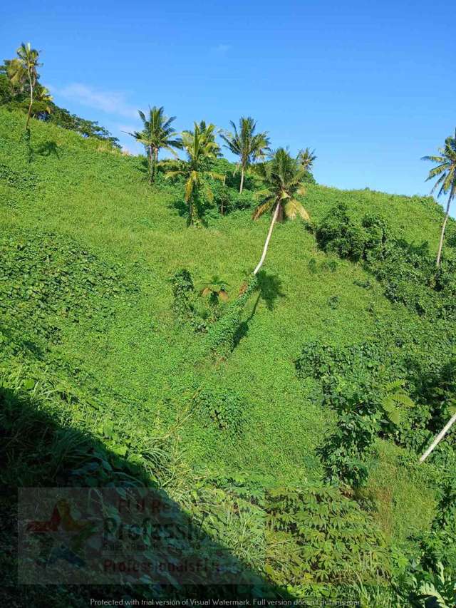 Prime Sea View Property in Superyacht Town of Savusavu, FIJI