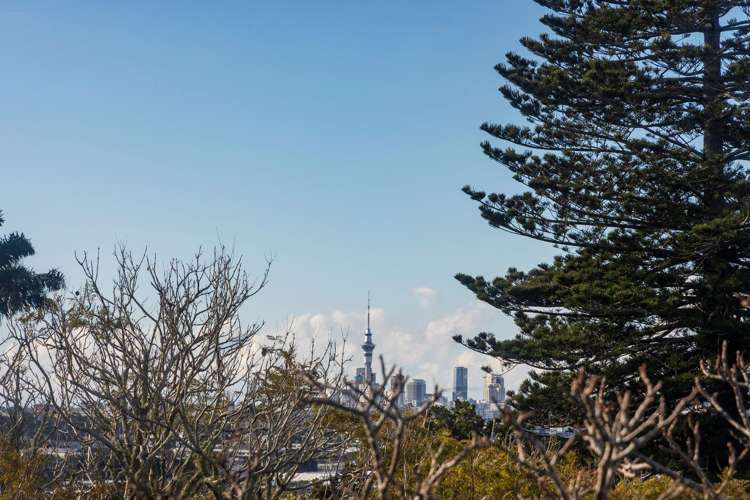 15 Ruarangi Road Mount Albert_5