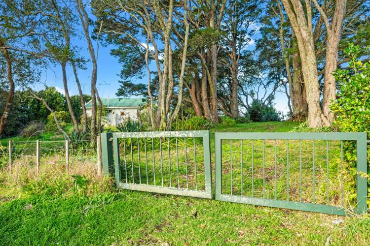 1 Buckleys Track Paremoremo_9