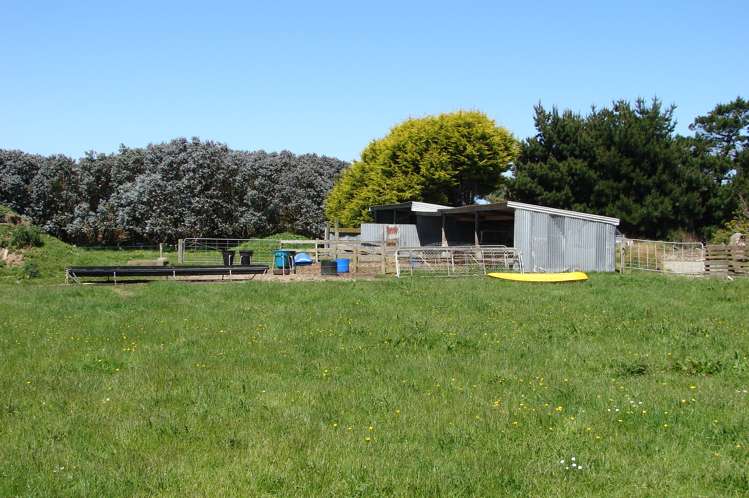 997 Waituna Lagoon Road Wyndham Surrounds_5