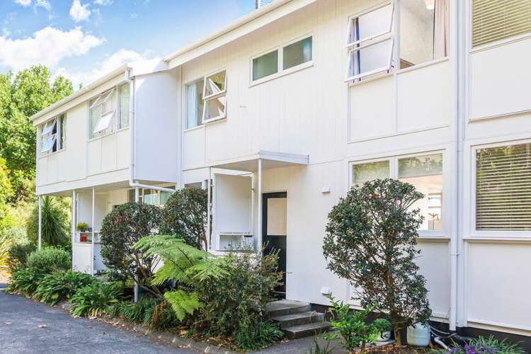 123 Howe Street Freemans Bay_13