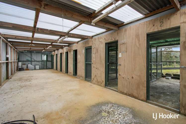 45a Pukekauri Road Waikino_20