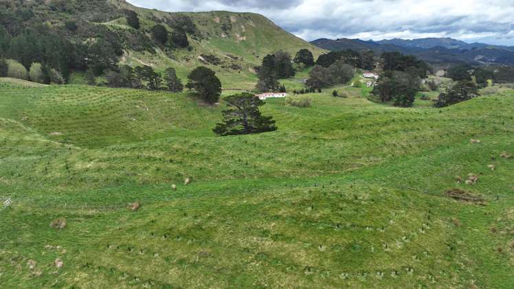 2164 Te Mai Road Tinui Valley_8