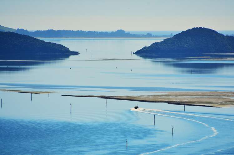 35 Coolock Crescent Waverley_21