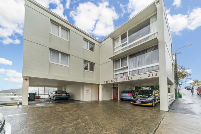 213 The Terrace Wellington Central_1