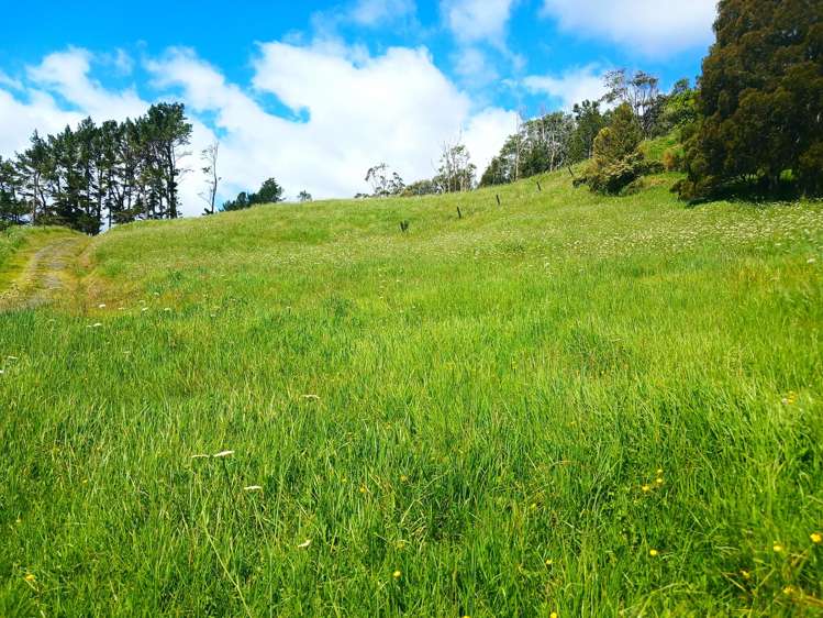 Lot 0 Te Rore Road Kaitaia_29