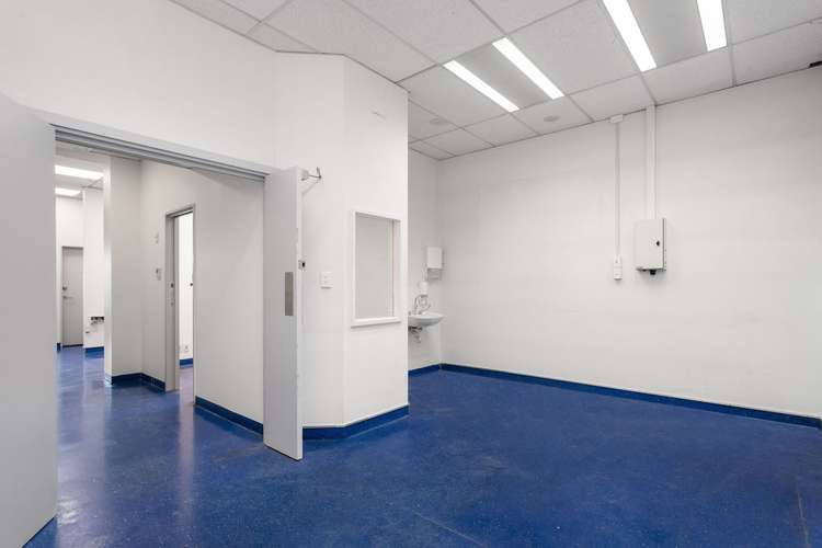 3 Pilgrim Place Sydenham_2