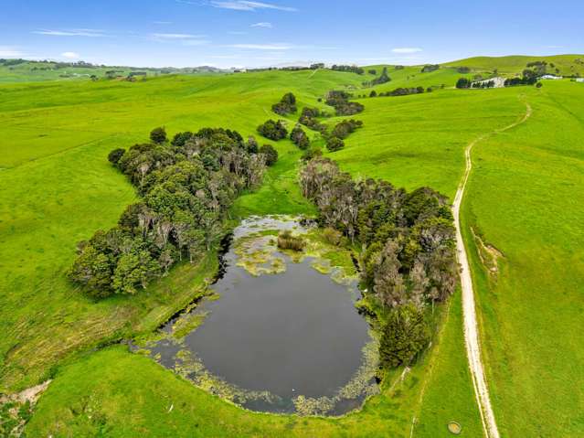 6320 State Highway 12 Arapohue Dargaville_4