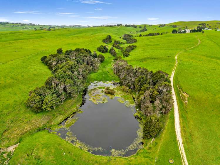 6320 State Highway 12 Arapohue Dargaville_4