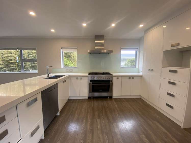 45 Ellis Avenue Mt Roskill_6