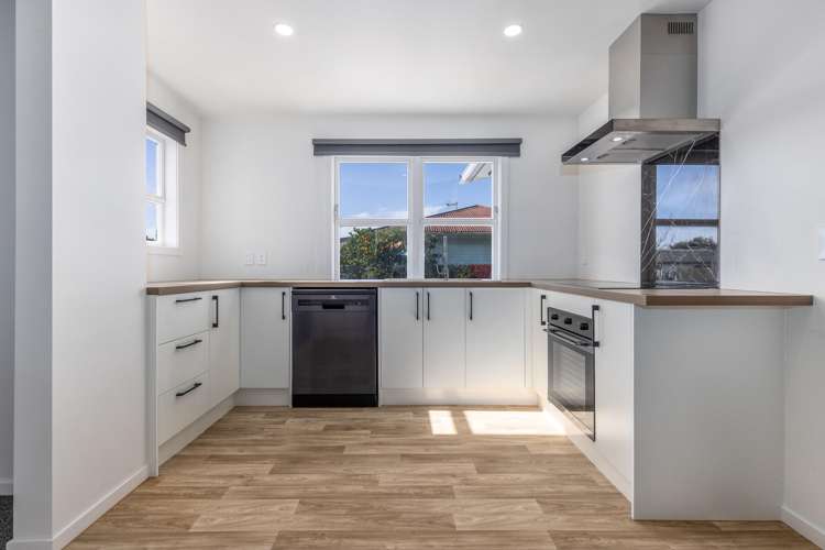 21 Ferguson Street Levin_2