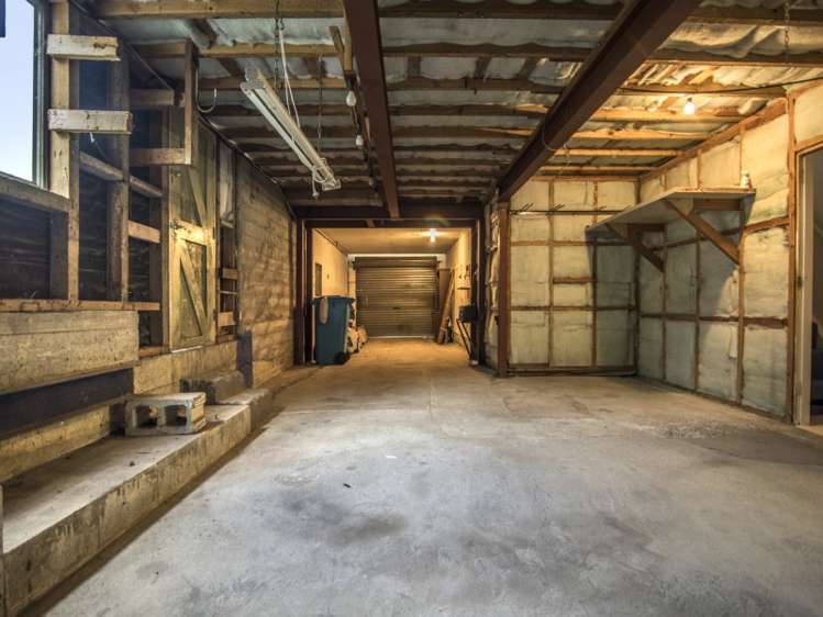 73 Milton Terrace Picton_3