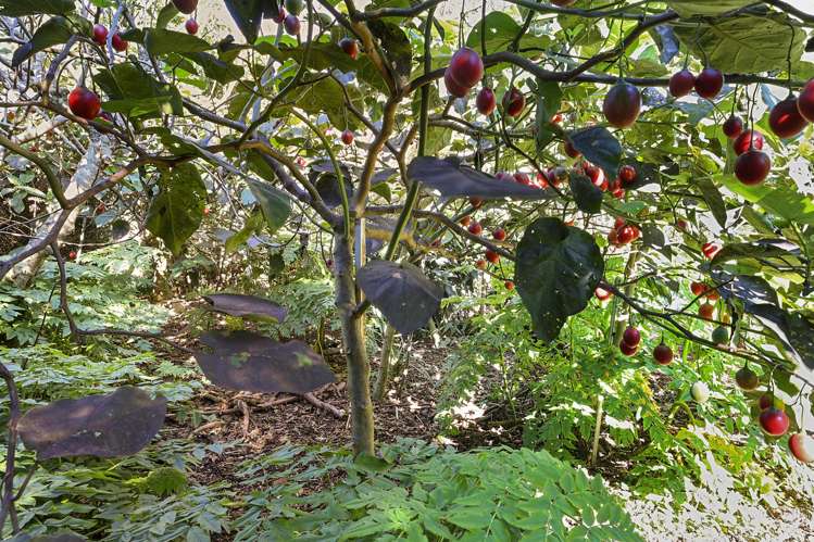 200 Cowling Road Hurdon_21