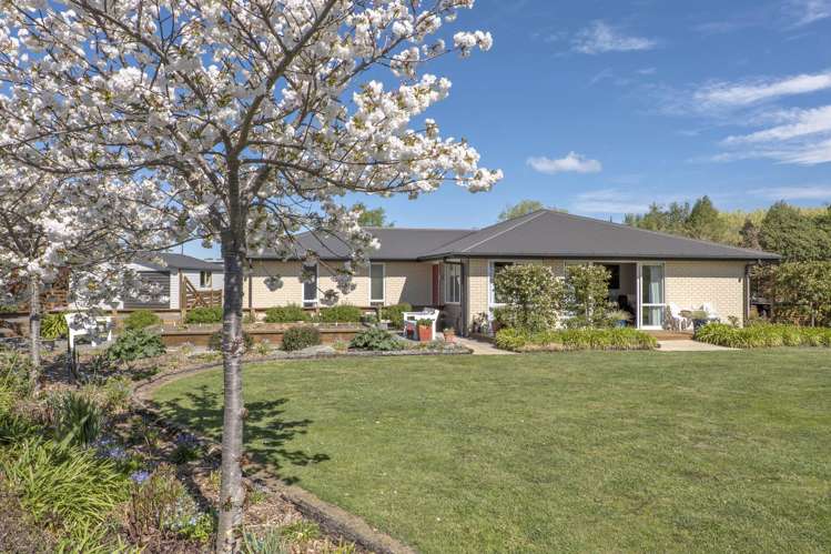 10 Thornton Close Leithfield_15