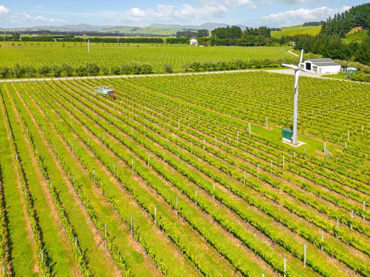 224 Te Muna Road Martinborough_17