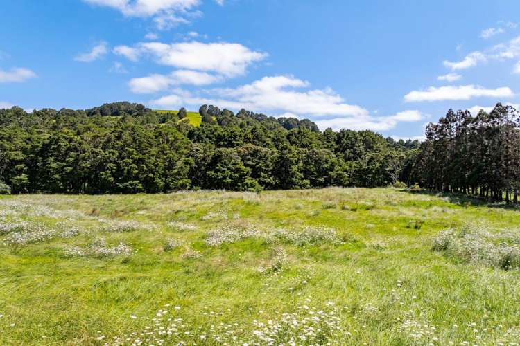 793 Whangaripo Valley Road Whangaripo_19