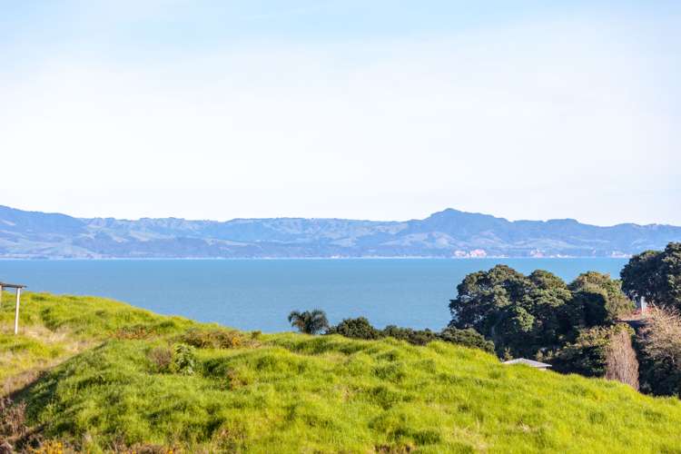 8 Te Mata Drive Te Mata_11
