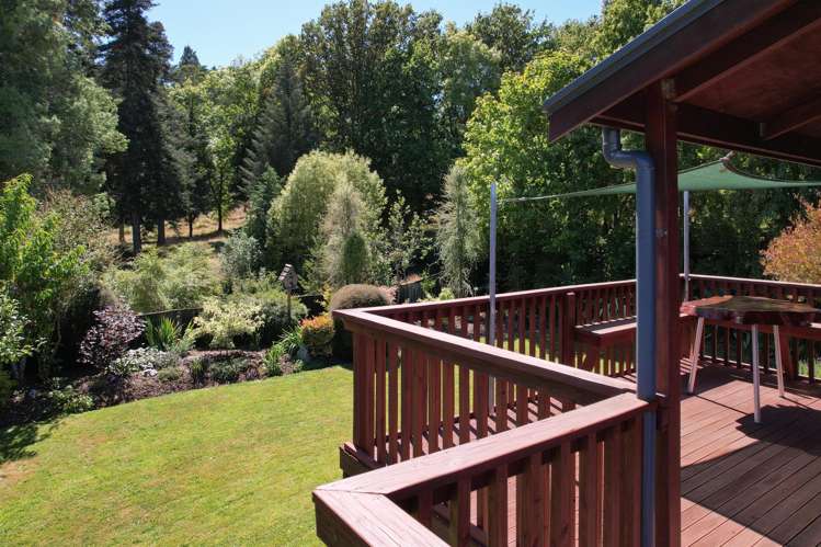 16 Robinson Street Cheviot_5