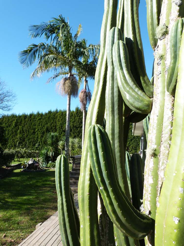 387 Kerikeri Road Kerikeri_22