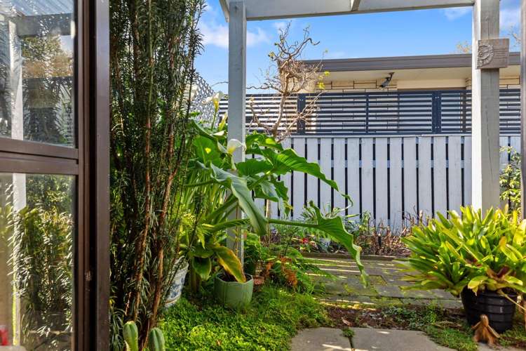 13a Twelfth Avenue Tauranga South_10