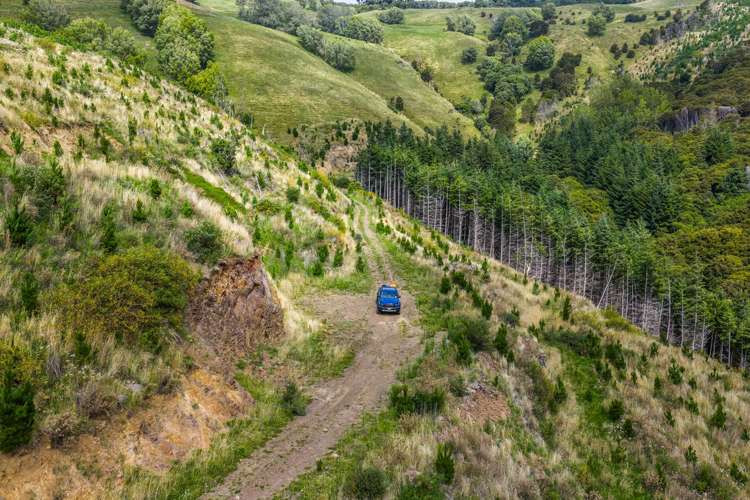 226 Middle Road Pigeon Bay_33