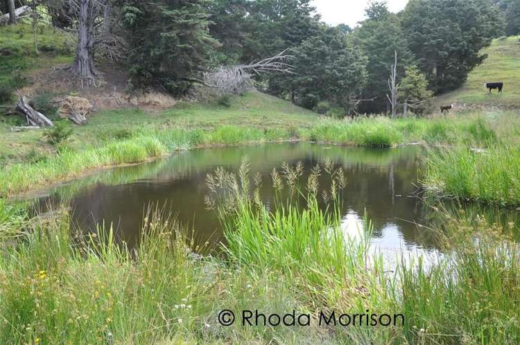 280 Central Road Mareretu_13