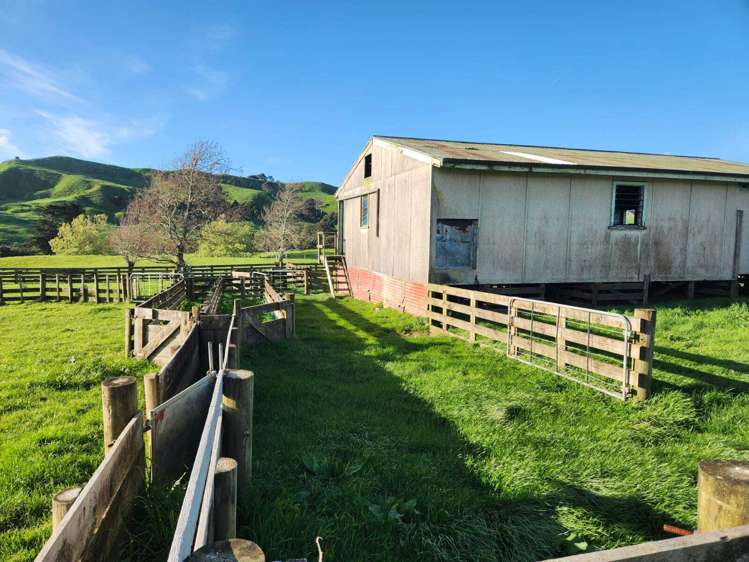 899 Te Akau Road Te Akau_11