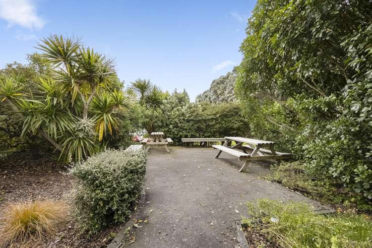 34 Barrys Point Road Takapuna_10