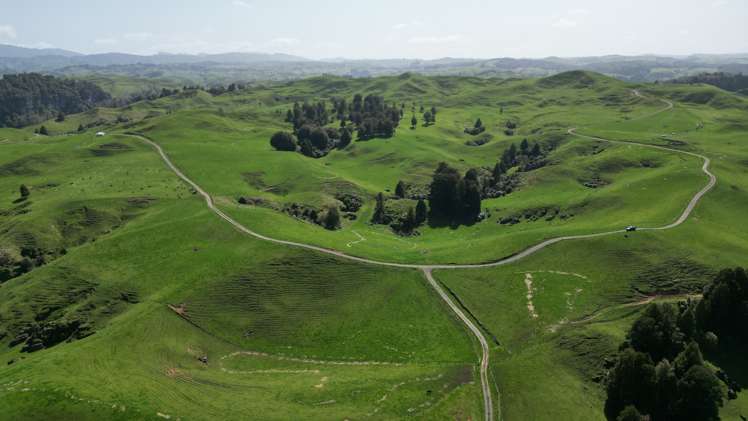 953 State Highway 3 Piopio_26