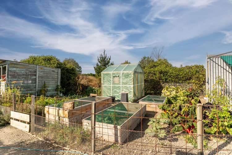 243 Mount Thomas Road Fernside_15