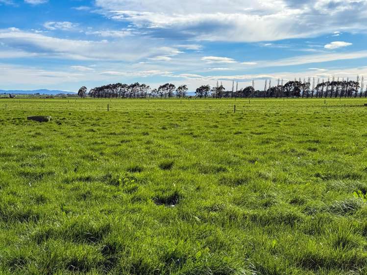 141 Mataura Island Titiroa Road Mataura Island_18