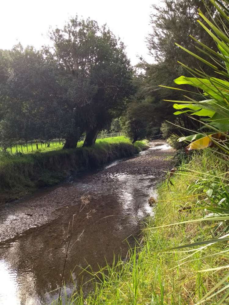 1708 Russell Road Hukerenui and Surrounds_22