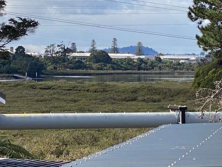 12 Talavera Place Te Atatu South_18