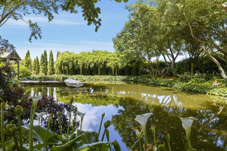 590 Trig Road North, Golden Valley Waihi_24