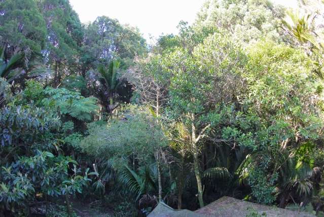 Address withheld Oratia_3