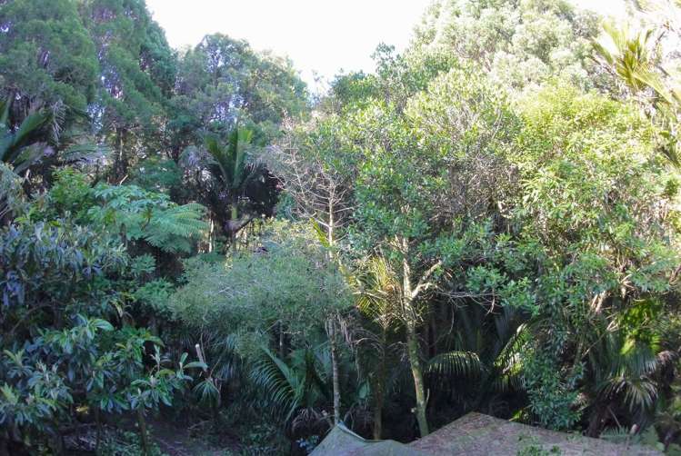 Address withheld Oratia_3