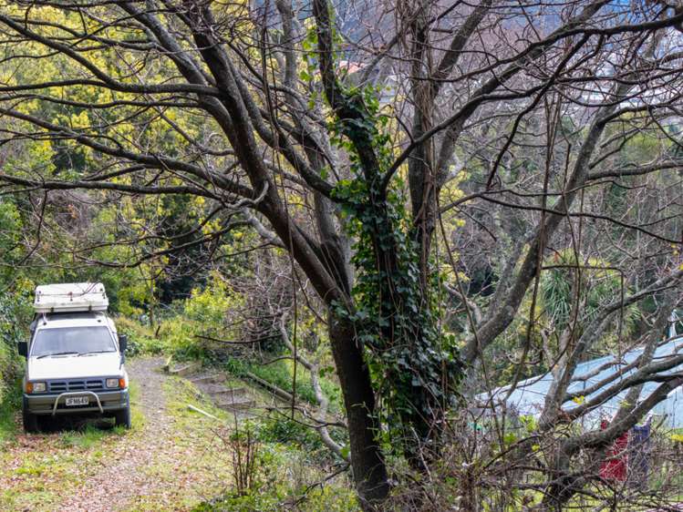 32 Dorset Street Picton_9